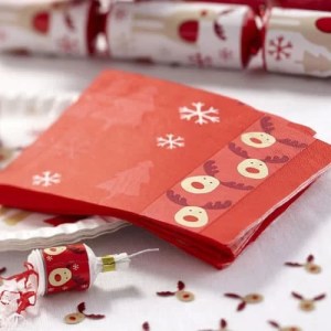 xmas day paper napkins